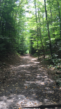 Trail.PNG