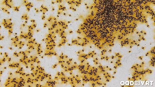 gunpowder art close-up