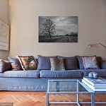 Cendrine Marrouat Photography's photo