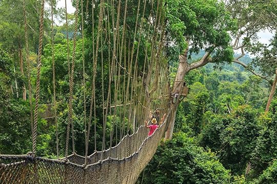 Suspension bridge in Ghana
