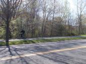 Amherst 1