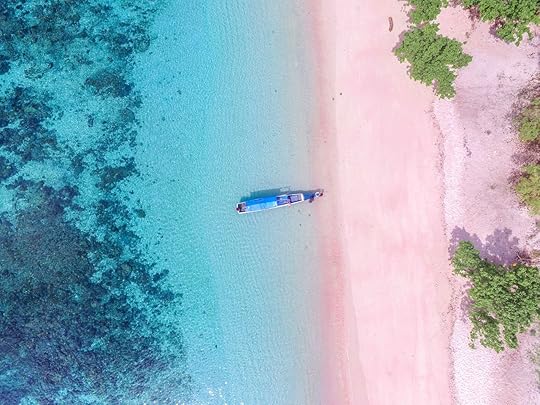 Indonesia Pink Beach