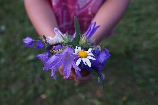 flowers-871499__340.jpg