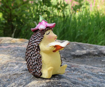 Hedgehog reading