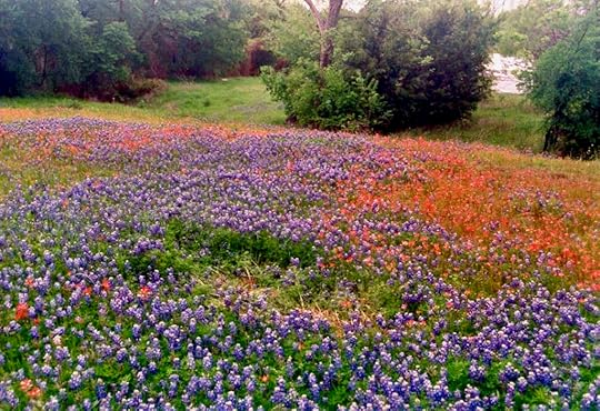 photo USA1999to2001-30_zps83a3gbdk.jpg