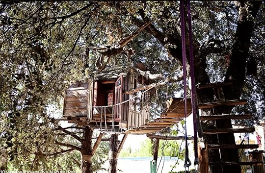 Treehouse in a nature park