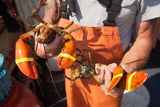 man holding lobster