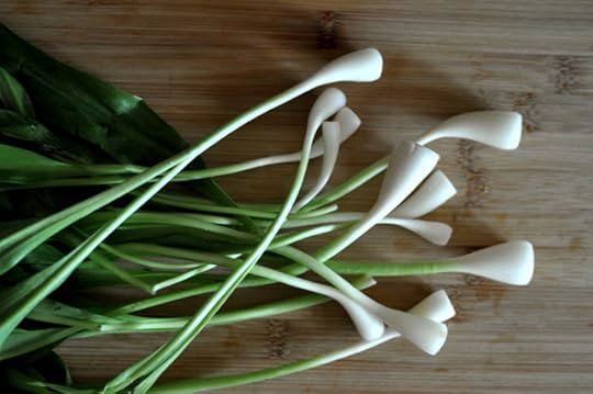 Clean, trimmed ramps