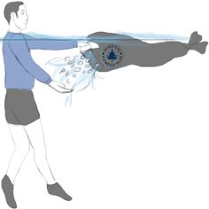 5 How to Inflate Your Clothes for Water Survival, Survival Fitness Plan Survival Swimming Training