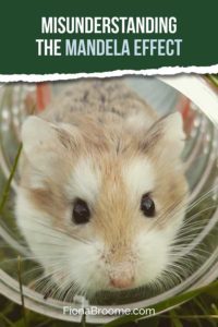 Misunderstanding the Mandela Effect. Fiona muses about news reports.