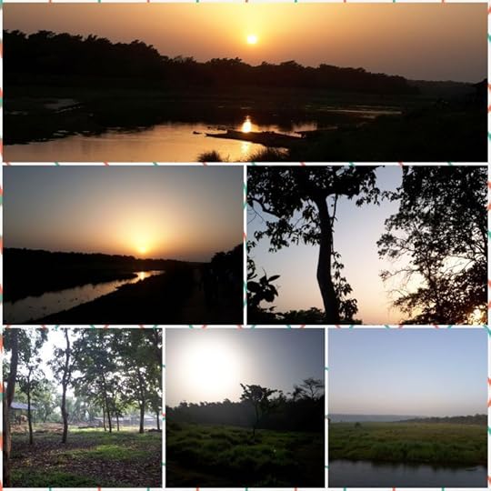 Nature scenes near Sauraha