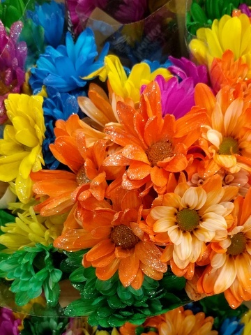 glitter daisies
