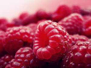 raspberry-fruits-fresh-red-52536