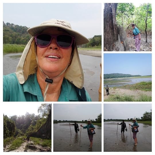The trek to Tiger Point, with high grasses and lots of rivers
