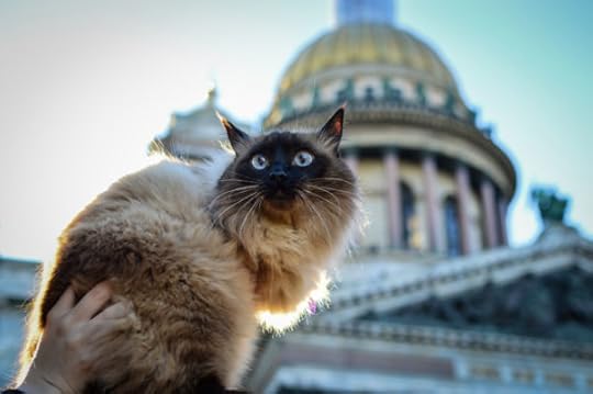 best places in the world for cats