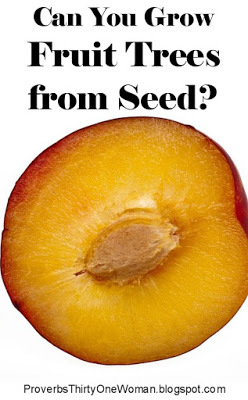 Grafting vs. Seeds