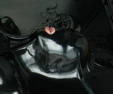 vac-bed-cropped