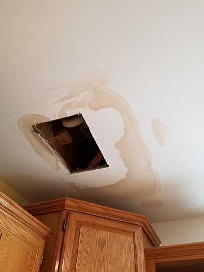  Not a sight you want to see in the kitchen of your new house. 