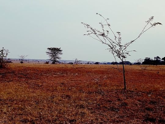  photo 13669687_10153936577971443_965065198337990530_n_zpsytoxclmn.jpg