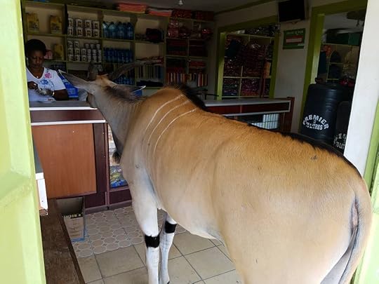  photo 13729125_10153936991766443_923197598989581782_n_zpsm2uhfgeu.jpg