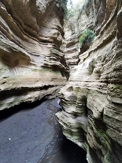  photo 13631430_10153921353576443_6994691505576262493_n_zpsoakn8a3z.jpg