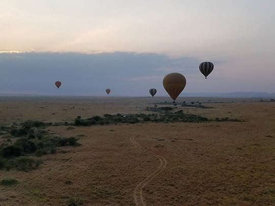  photo 13906826_10153936578681443_5047940691802574924_n_zpsfcfgdhsw.jpg