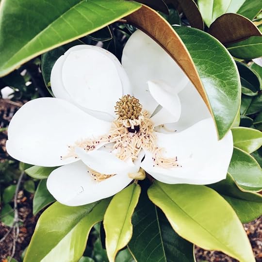 Let It Be Sunday, 173!