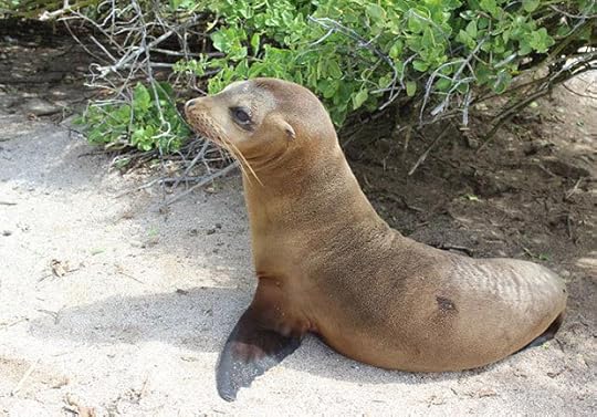 By Robin Van Auken on Volunteer Forever