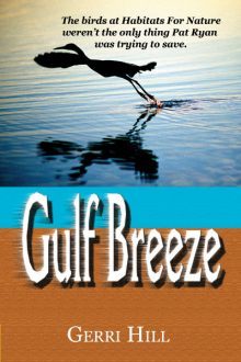 Gulf Breeze_Gerri Hill