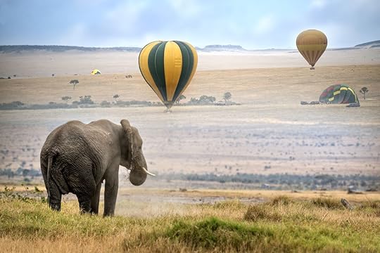 Hot air balloon and elephant