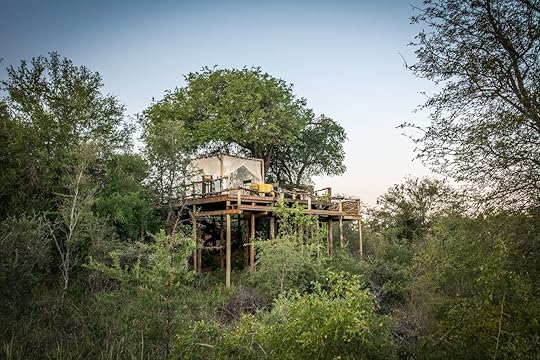 Glamping in a tree house Africa