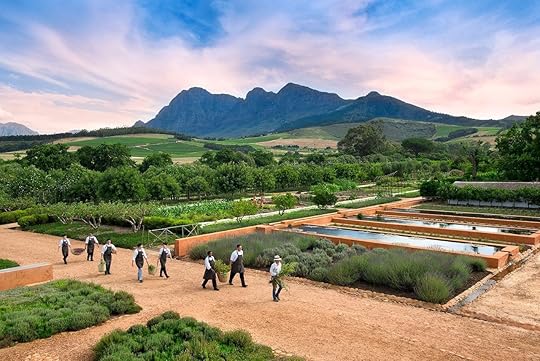 South Africa’s wine country