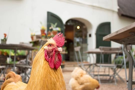 Historic farm cottage in Africa