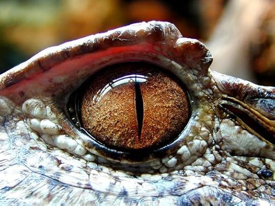  photo Eye3_zpshohab93v.jpg