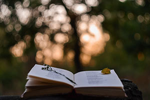 Book and flowers