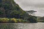 Wailua River (Kauai, Hawaii, United States)