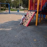 three year old learning to climb rock wall