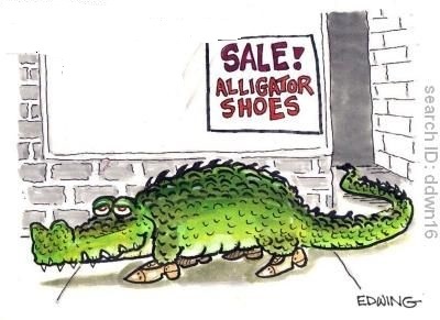  photo shoes4_zpsi0lejhq4.jpg