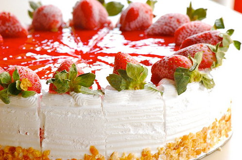 Russian Escorts Burnaby