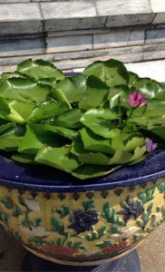 Step Away From Your Computer