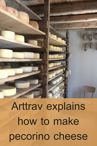 Arttrav explains how to make pecorino cheese
