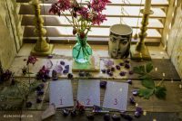 Your Free Three Card Tarot Reading – Message from your higher power