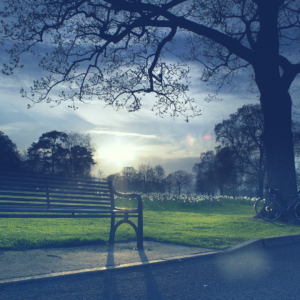 Parks are the best place to write when you need good scenery & a tranquil setting.