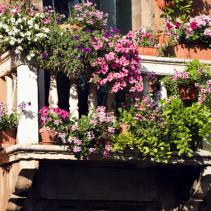 Since hotels are secluded, they make the list for best places to write & focus on your work.