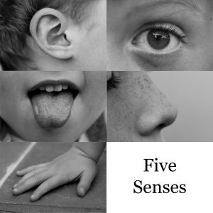 hearing vs multi-sensory