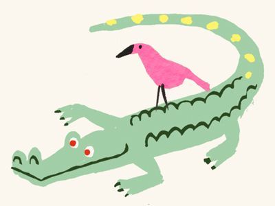  photo bird8_zpslt5fn03z.jpg