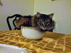 that's a mixing bowl