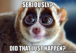 Image result for did that just happen