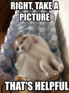 Related image