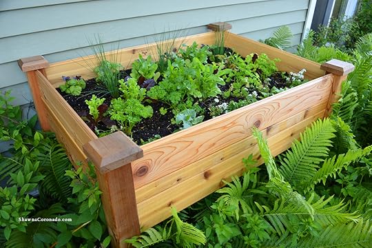 Shade Vegetable Garden Elevated Bed Spring
